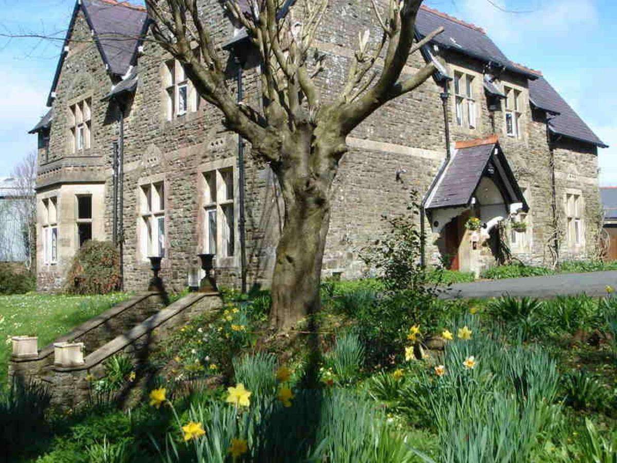 Gasthuis St David's 4*
